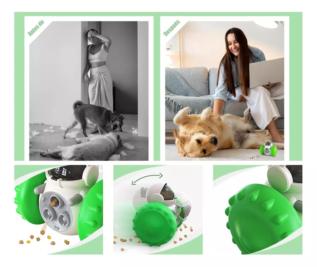 Dispensador de alimento para mascotas